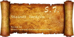 Steindl Terézia névjegykártya